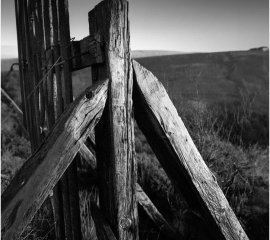 Late Autumn Evening, Dentdale 1978